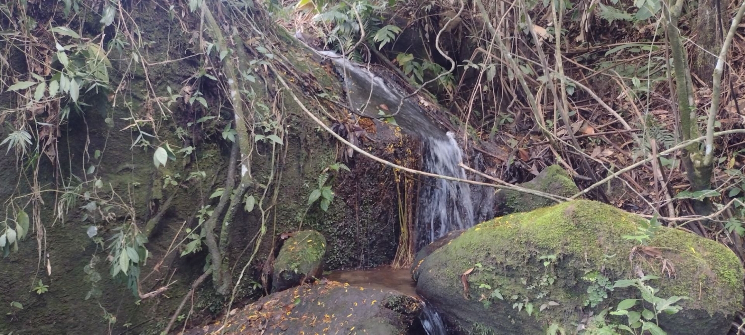 Sítio, 2 quartos, 100 m² - Foto 5