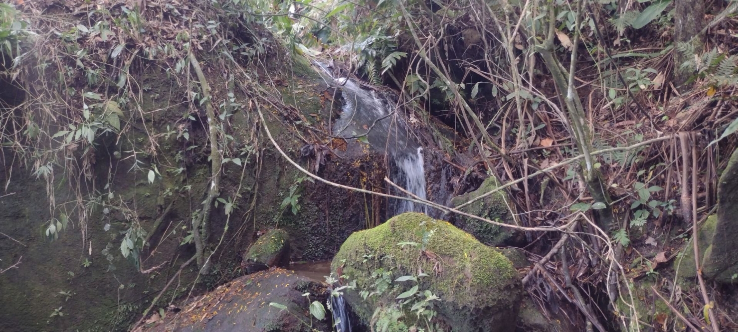 Sítio, 2 quartos, 100 m² - Foto 7