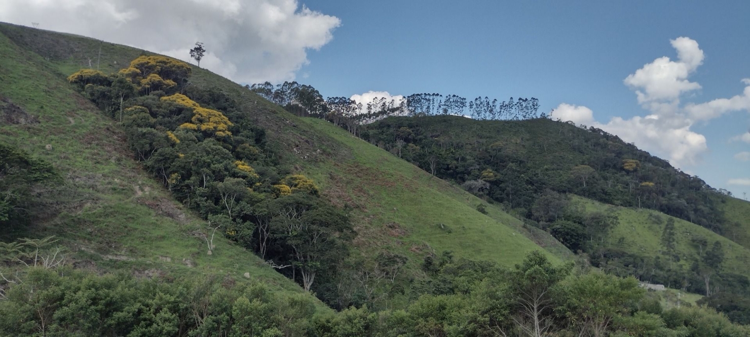 Sítio, 2 quartos, 100 m² - Foto 9