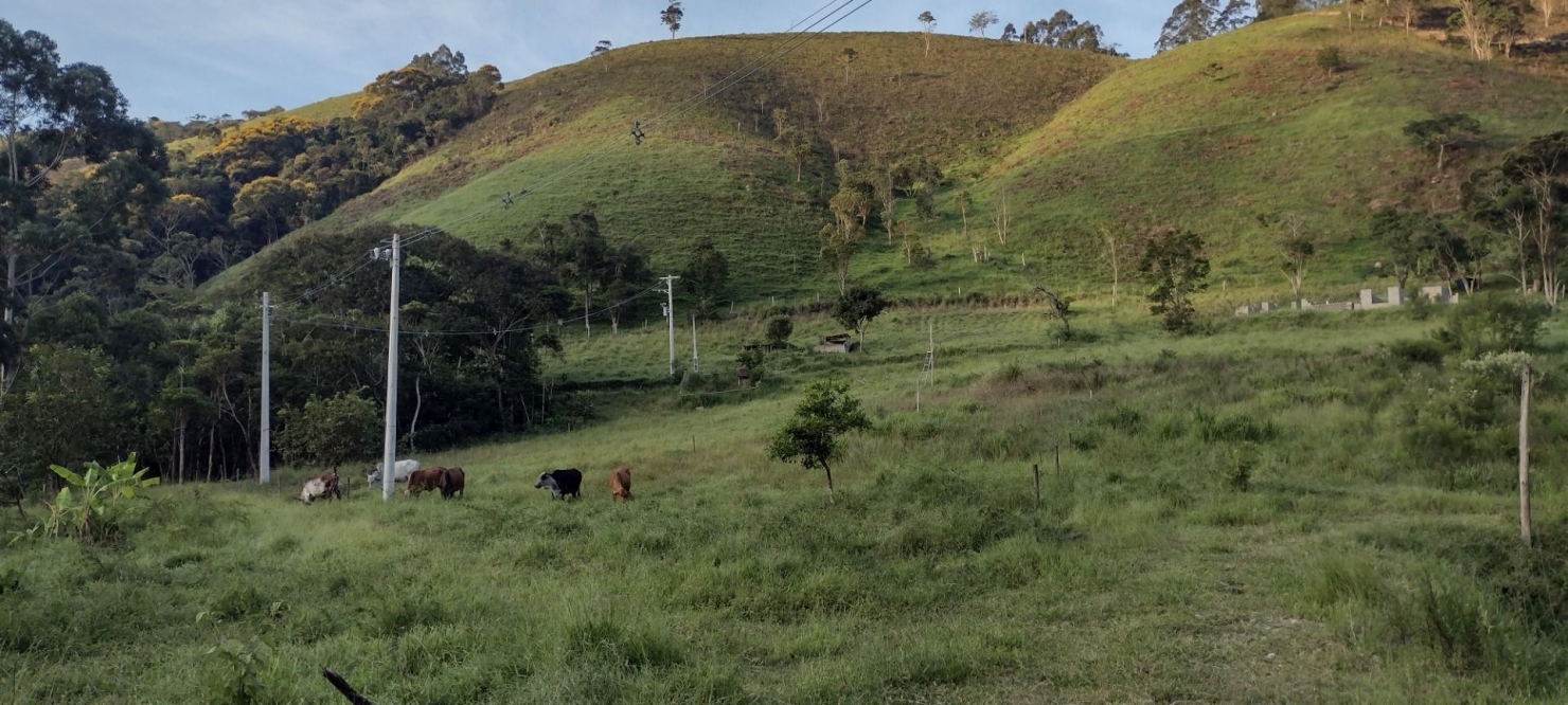 Sítio, 2 quartos, 100 m² - Foto 10