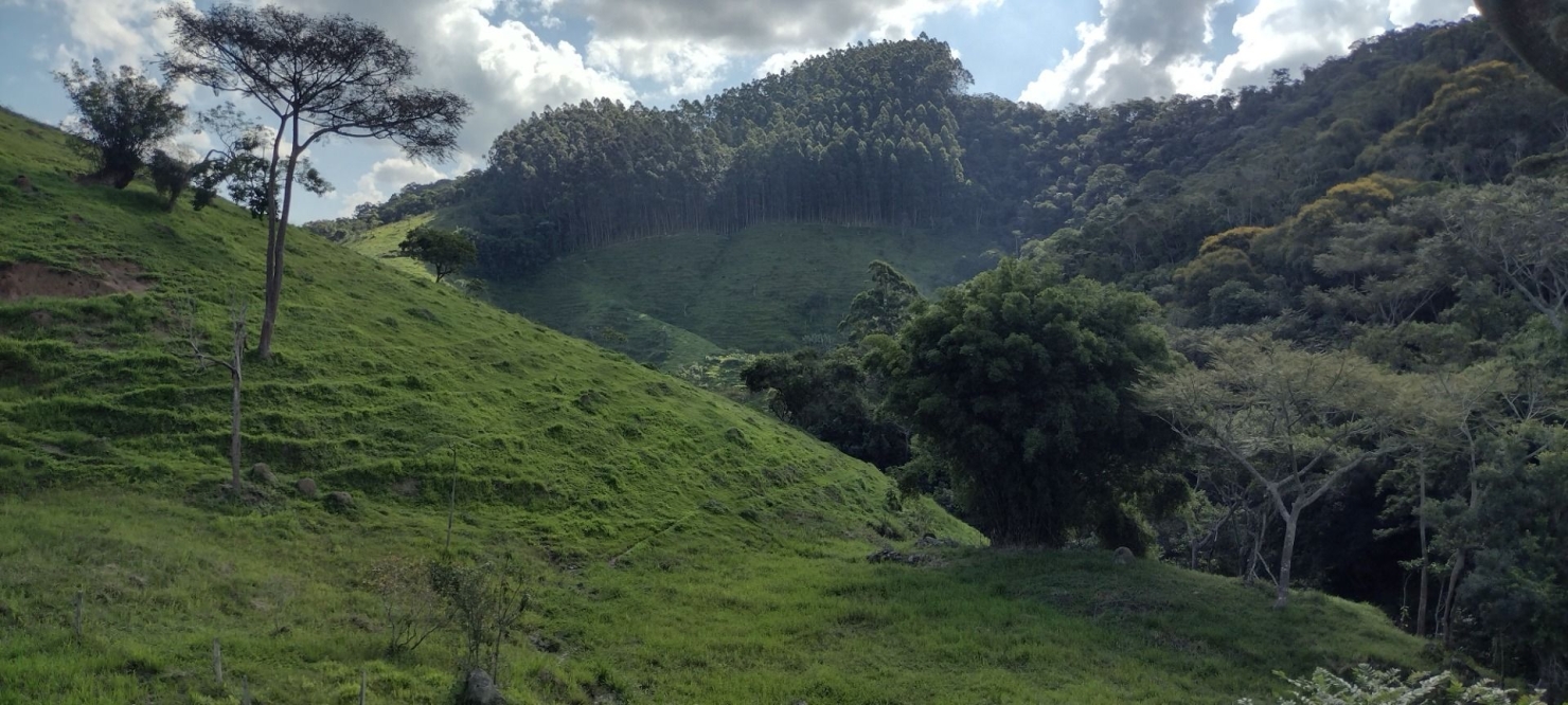 Sítio, 2 quartos, 100 m² - Foto 11