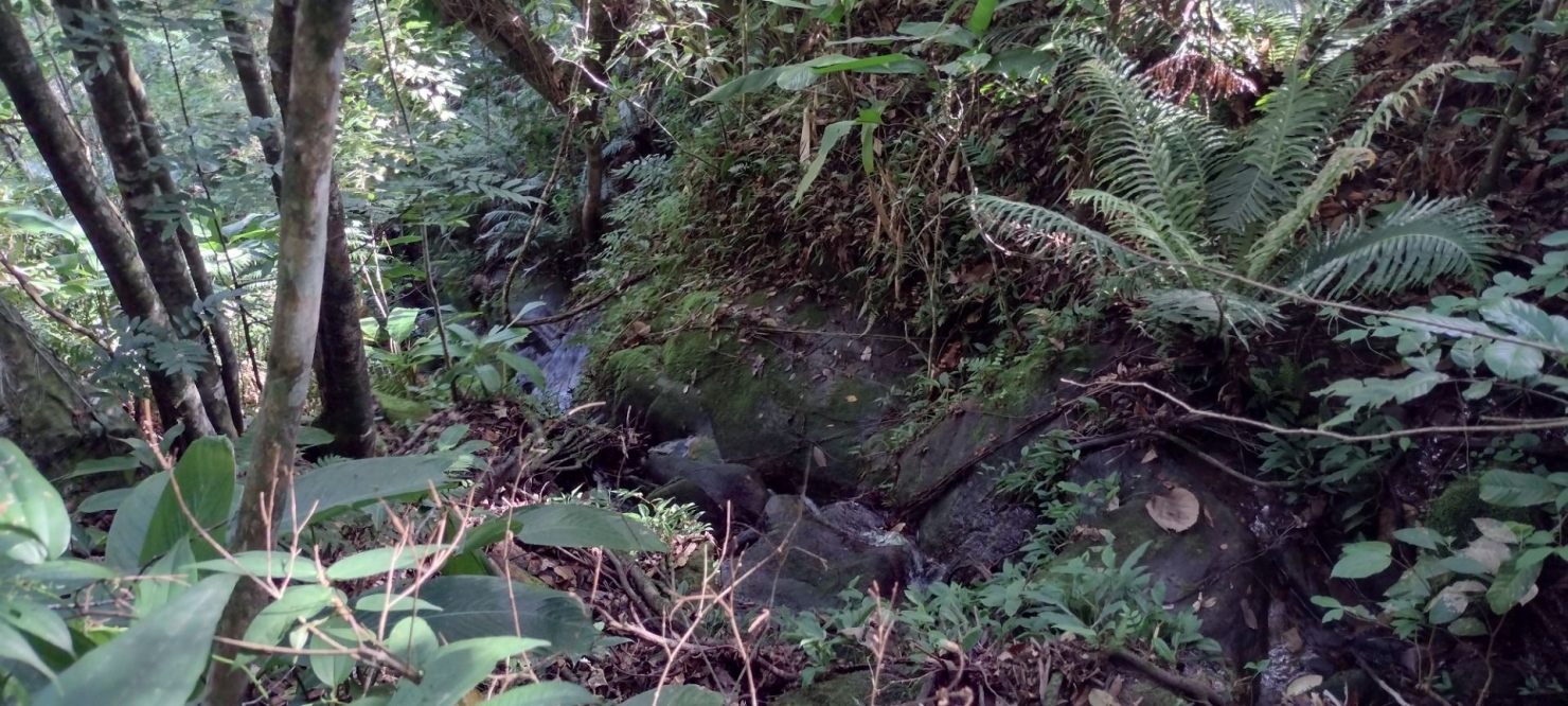 Sítio, 2 quartos, 100 m² - Foto 14