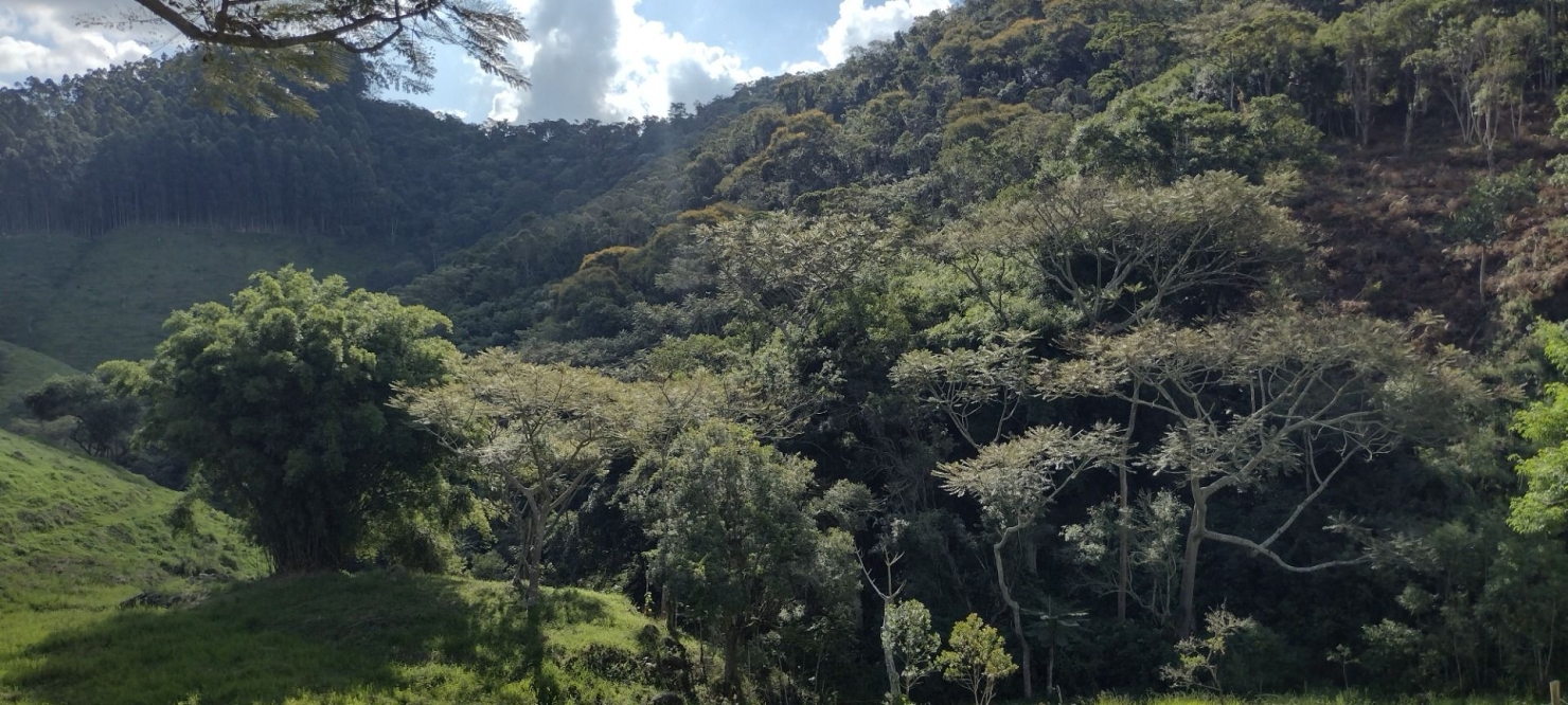 Sítio, 2 quartos, 100 m² - Foto 16