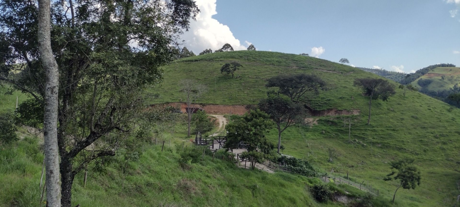 Sítio, 2 quartos, 100 m² - Foto 17