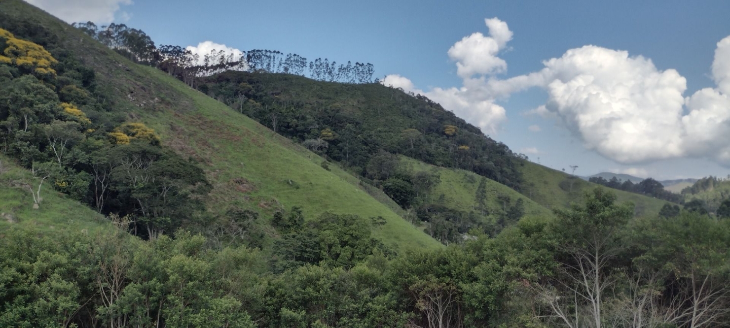 Sítio, 2 quartos, 100 m² - Foto 19