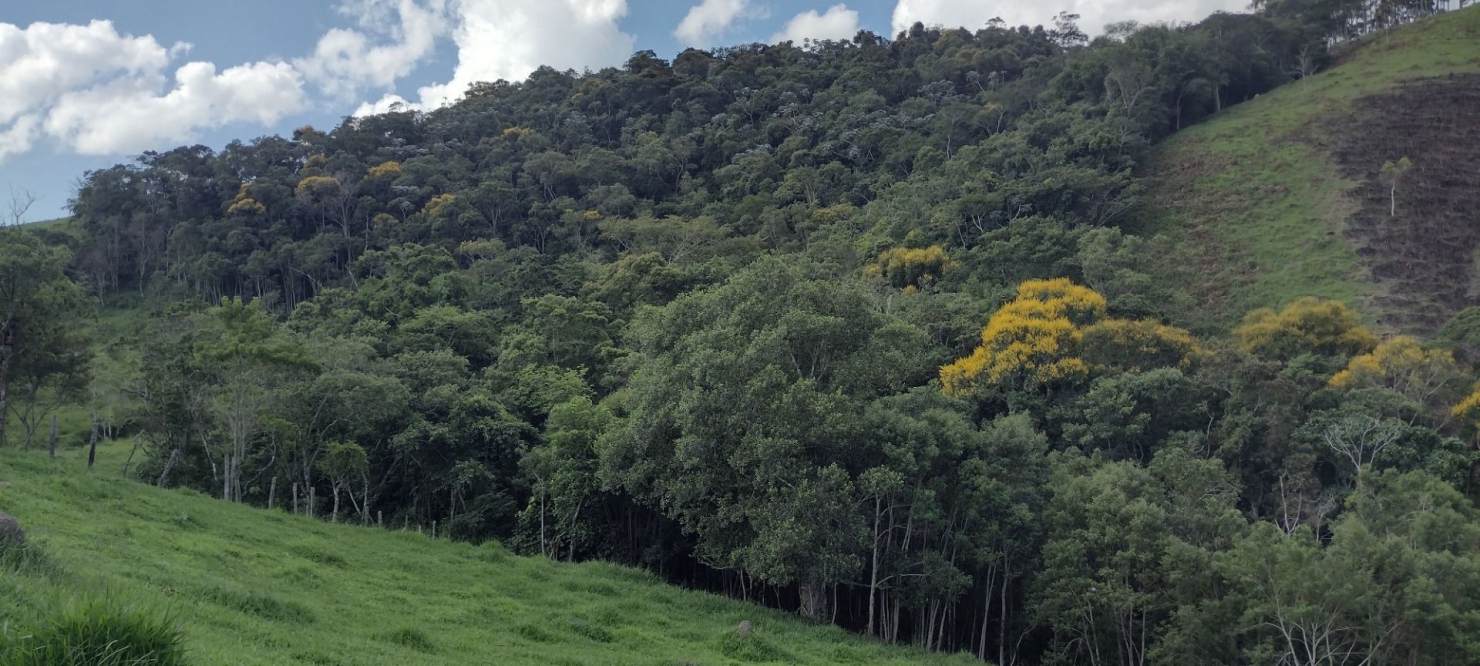 Sítio, 2 quartos, 100 m² - Foto 20