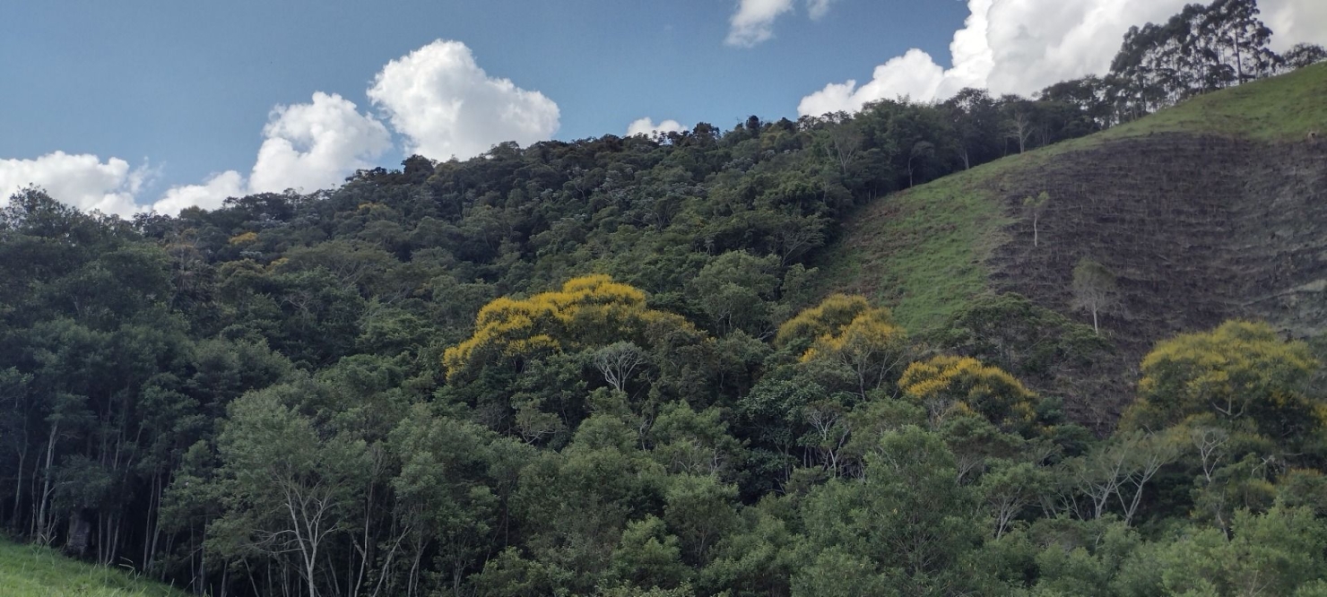 Sítio, 2 quartos, 100 m² - Foto 21