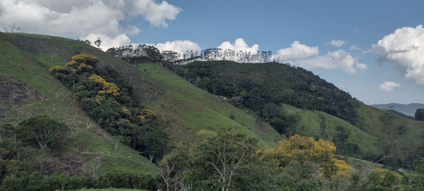 Sítio, 2 quartos, 100 m² - Foto 22