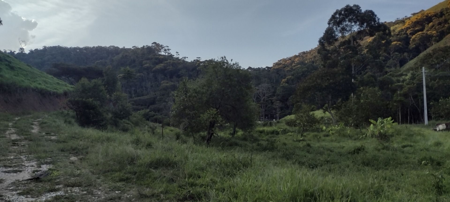 Sítio, 2 quartos, 100 m² - Foto 26