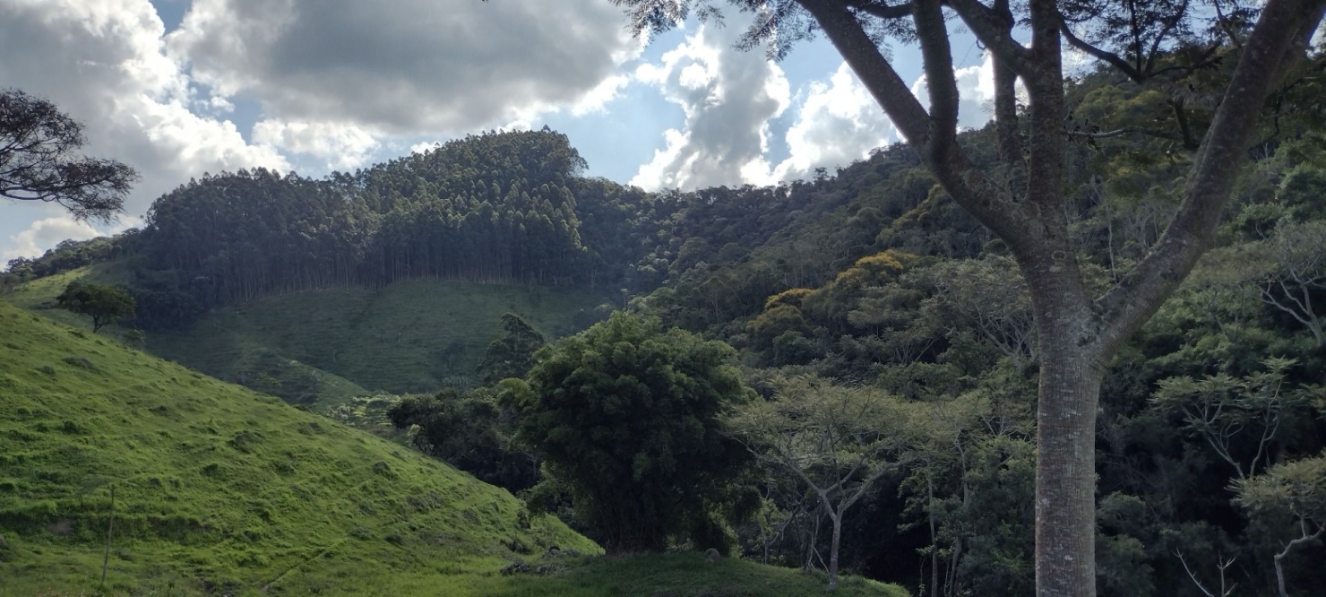 Sítio, 2 quartos, 100 m² - Foto 27