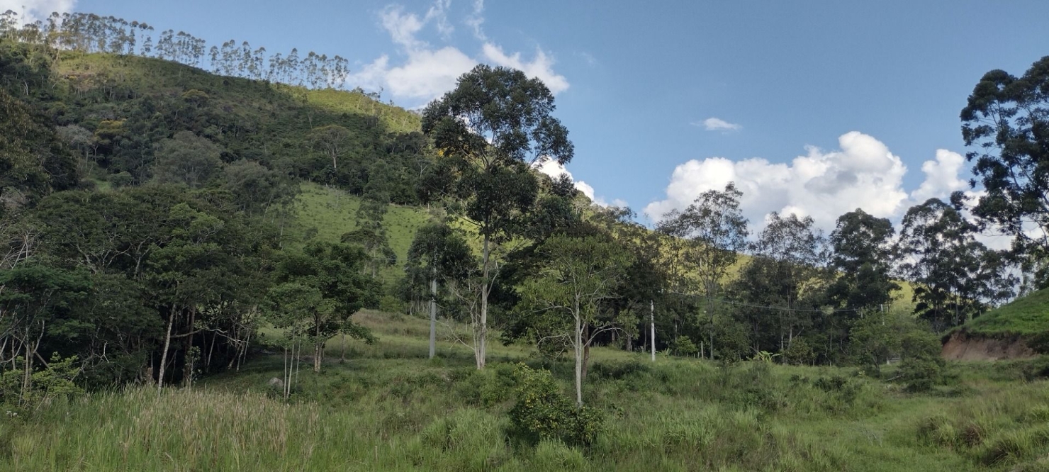 Sítio, 2 quartos, 100 m² - Foto 29