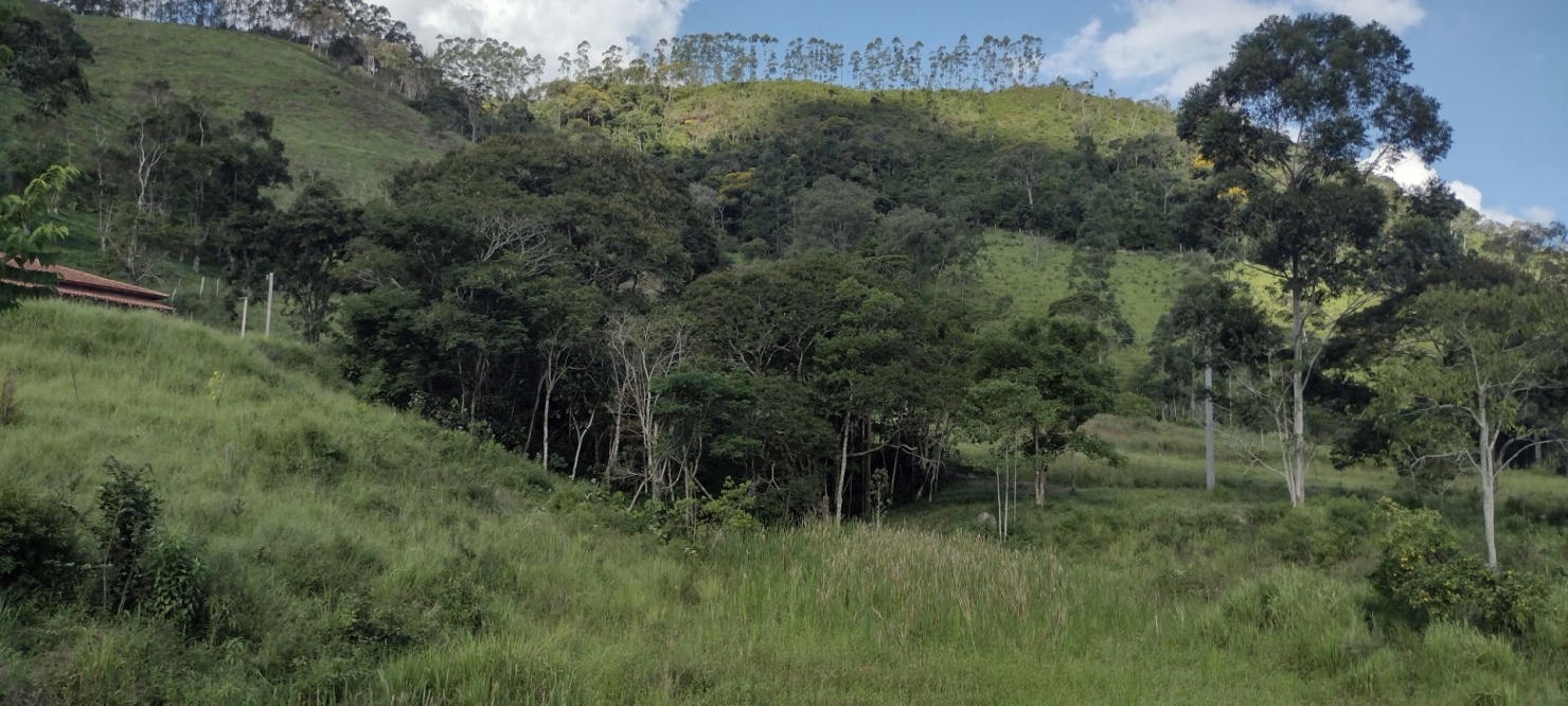 Sítio, 2 quartos, 100 m² - Foto 30