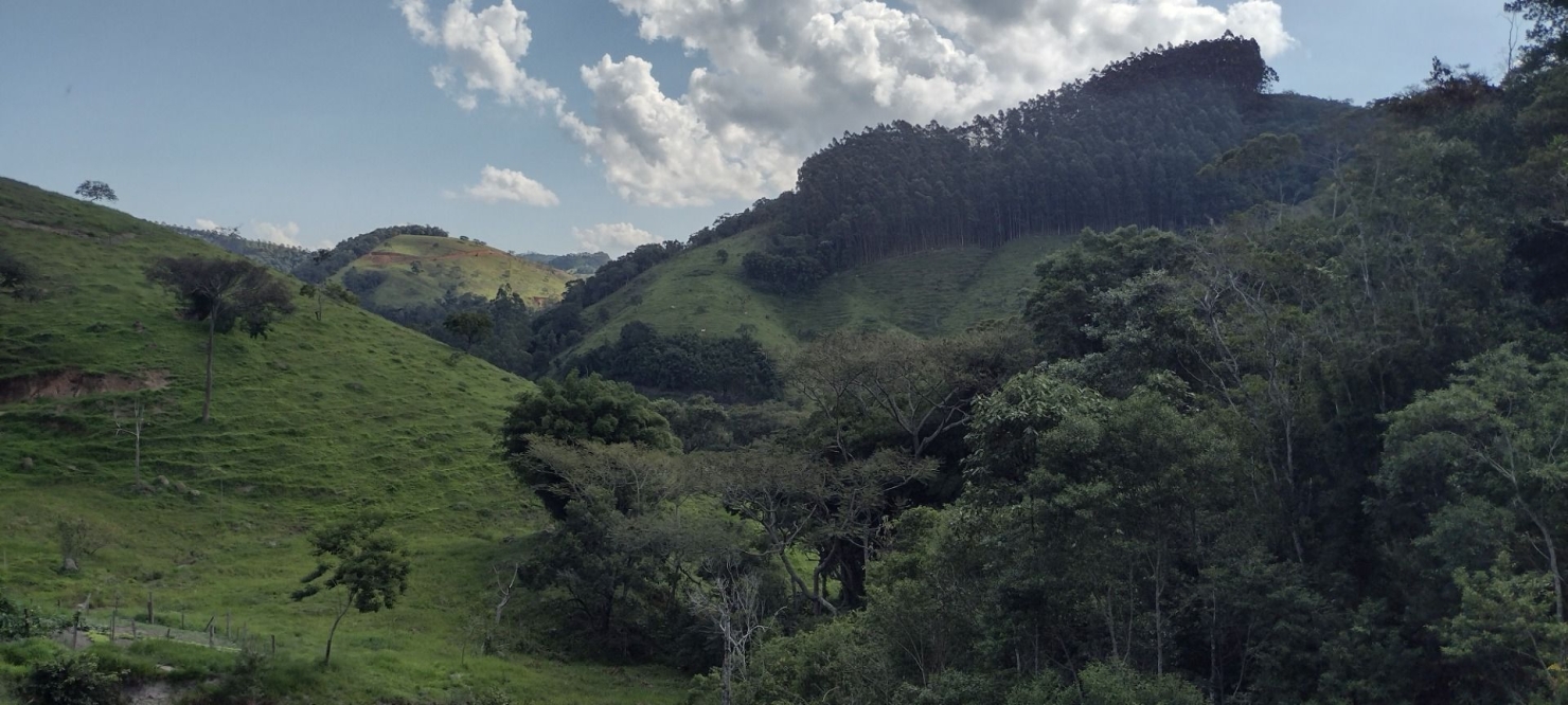 Sítio, 2 quartos, 100 m² - Foto 31