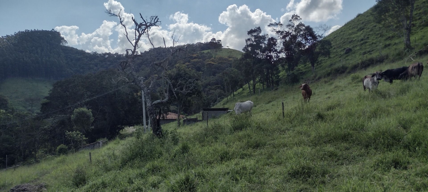 Sítio, 2 quartos, 100 m² - Foto 33