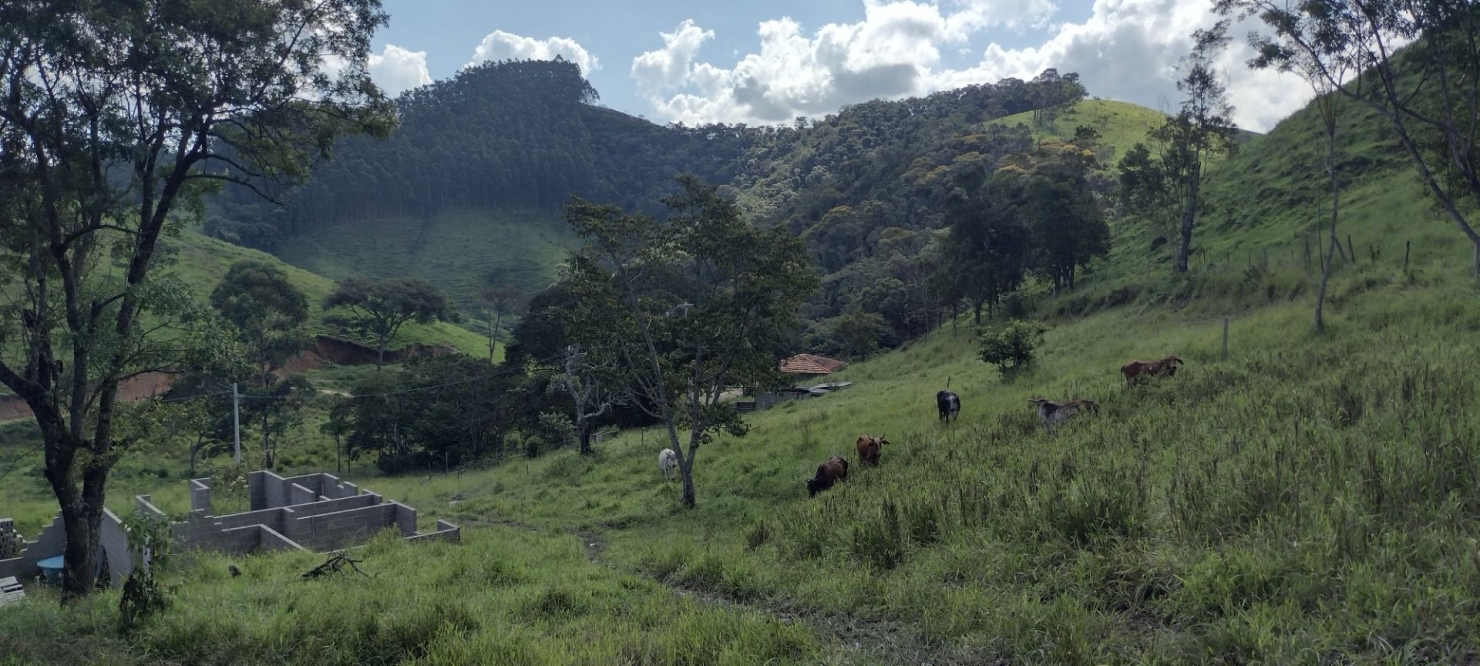 Sítio, 2 quartos, 100 m² - Foto 35