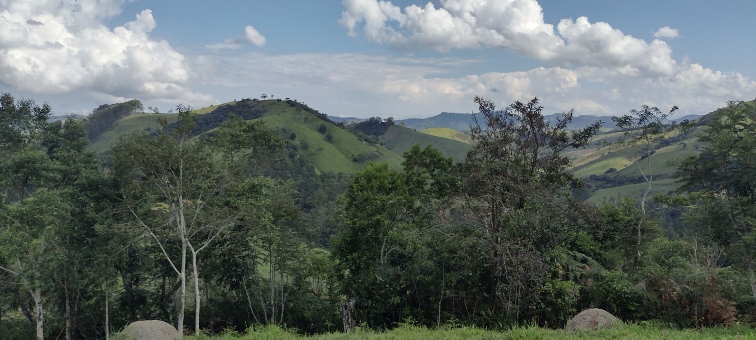 Sítio, 2 quartos, 100 m² - Foto 36