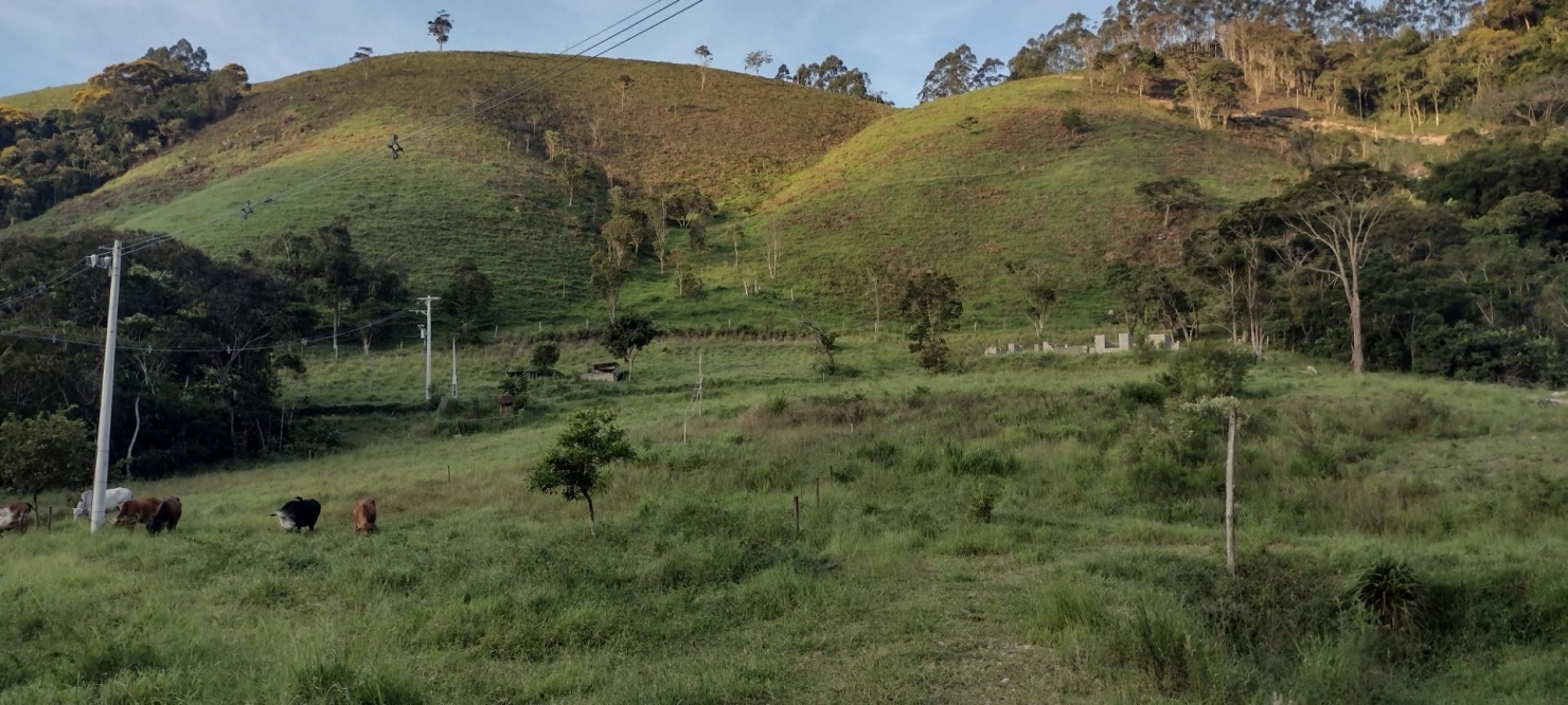 Sítio, 2 quartos, 100 m² - Foto 38