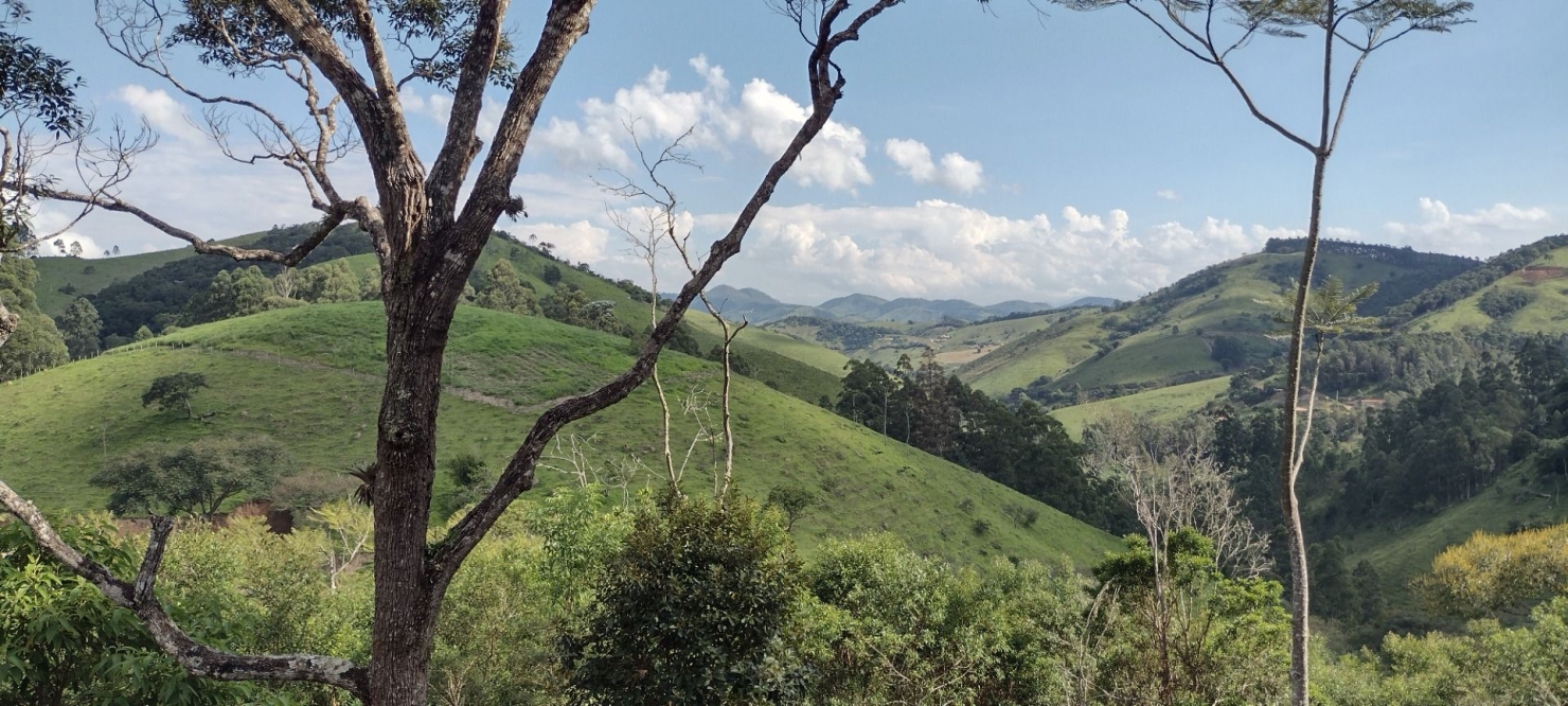 Sítio, 2 quartos, 100 m² - Foto 39