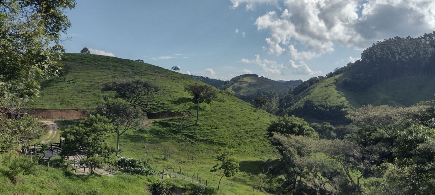 Sítio, 2 quartos, 100 m² - Foto 41