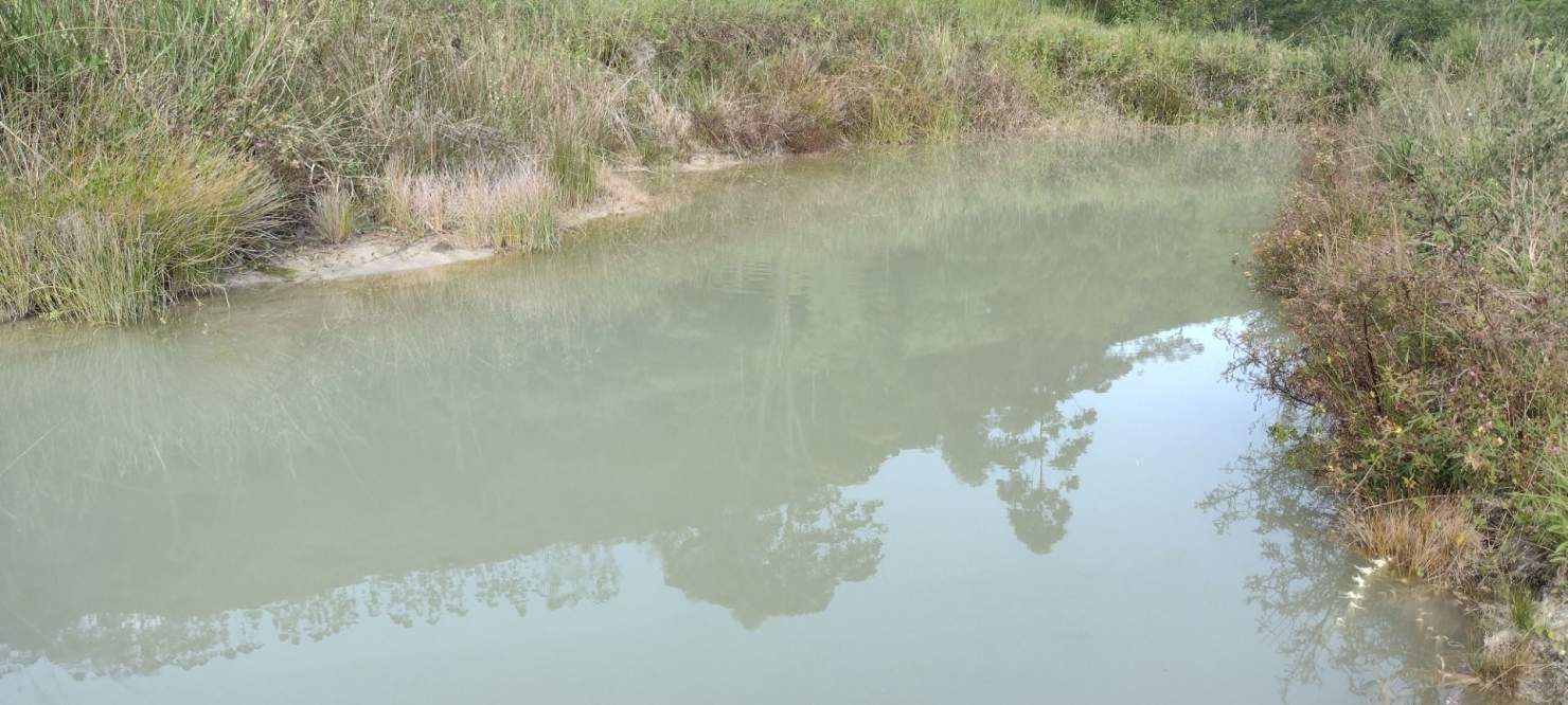 Sítio, 2 quartos, 100 m² - Foto 42