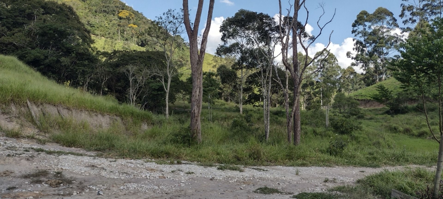 Sítio, 2 quartos, 100 m² - Foto 44