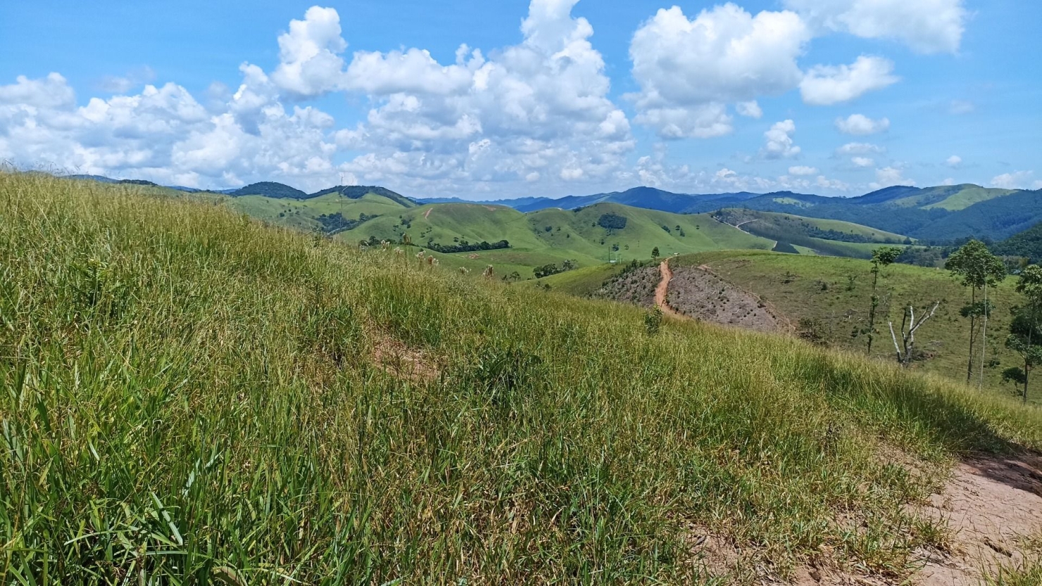 Terreno, 200 m² - Foto 1