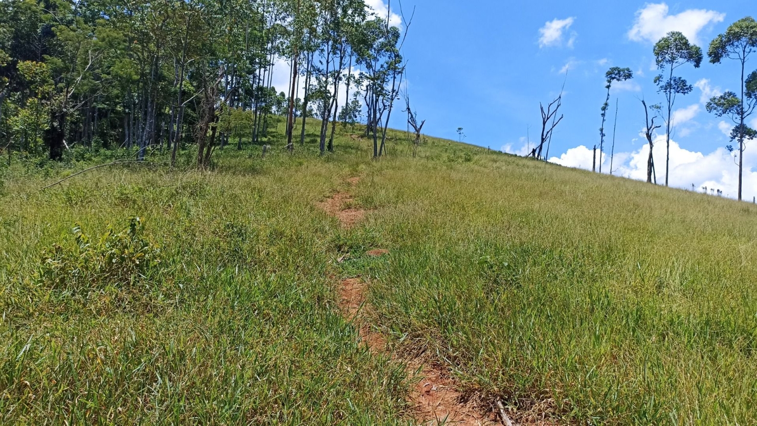 Terreno, 200 m² - Foto 2