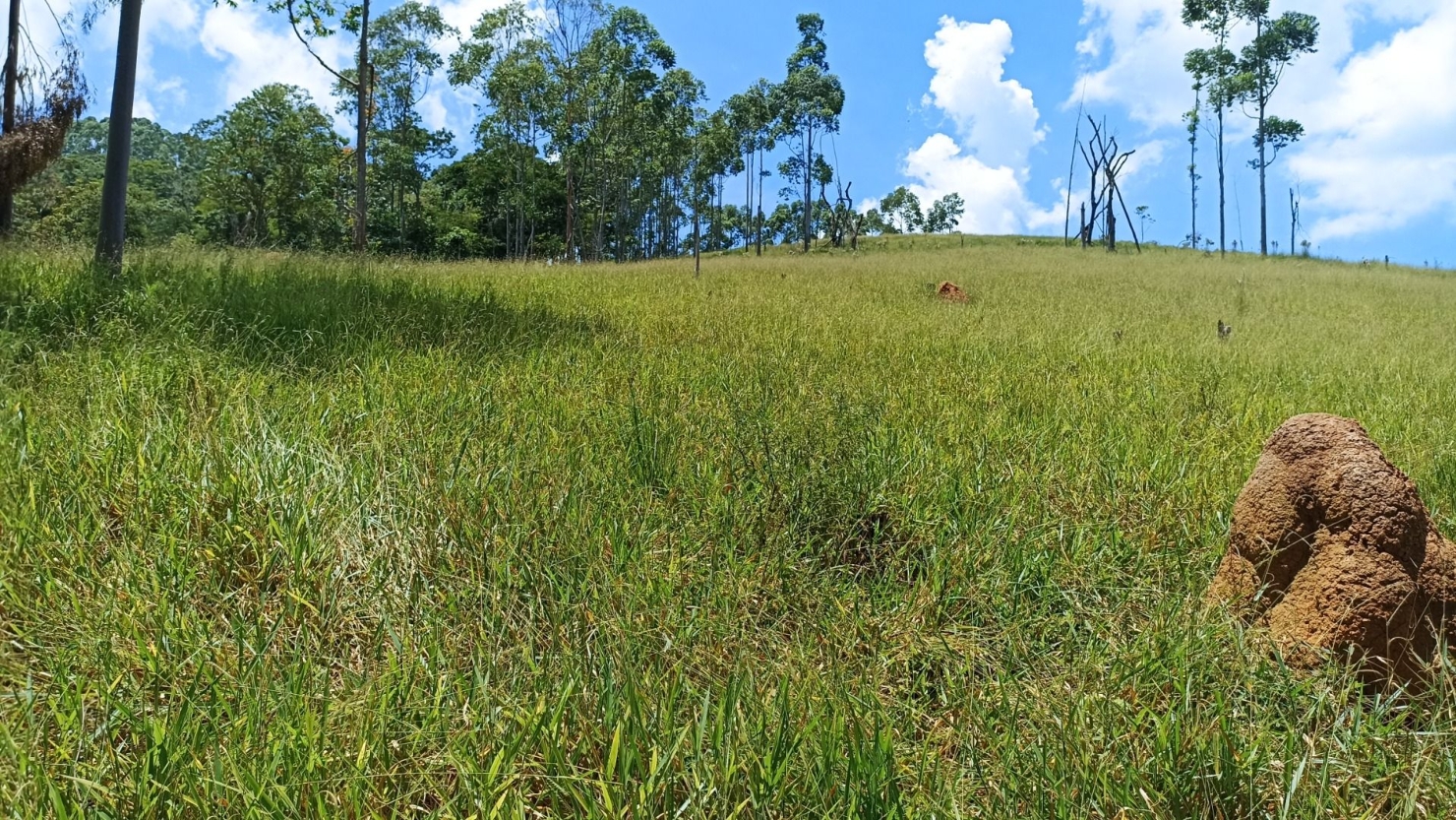 Terreno, 200 m² - Foto 3