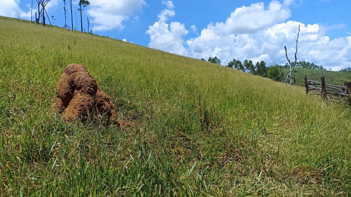 Terreno, 200 m² - Foto 4