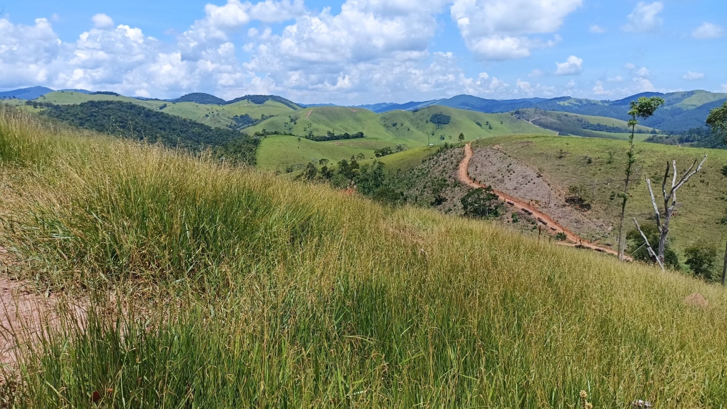 Terreno, 200 m² - Foto 5