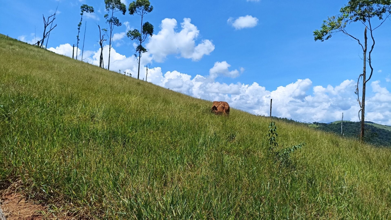 Terreno, 200 m² - Foto 6