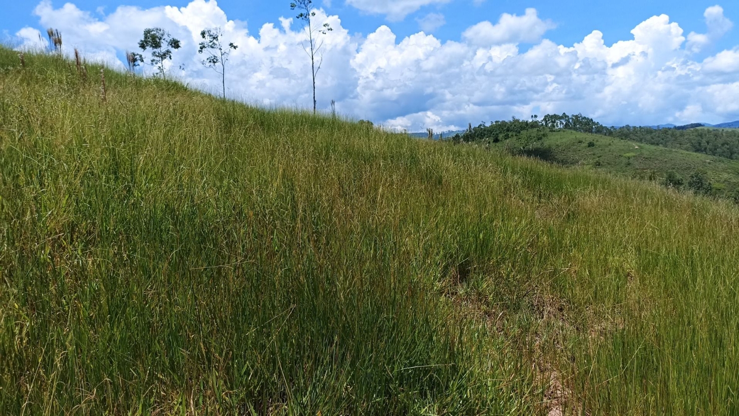 Terreno, 200 m² - Foto 7