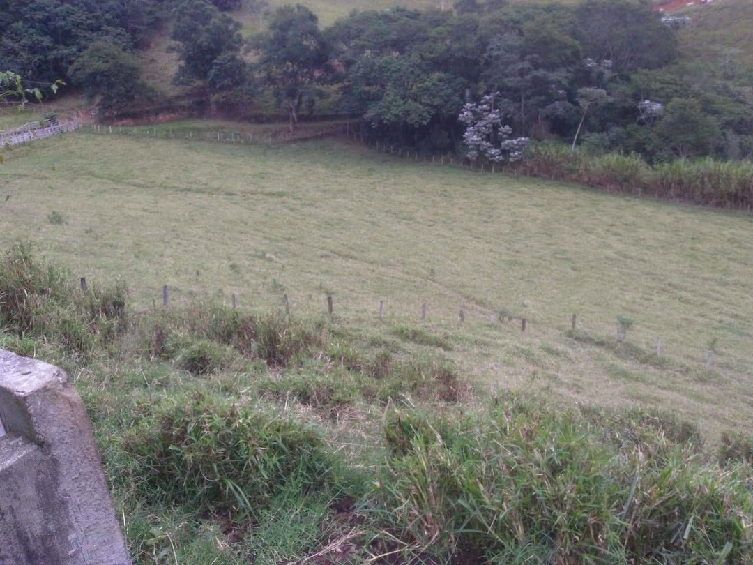 Fazenda-Sítio-Chácara, 97 hectares - Foto 4