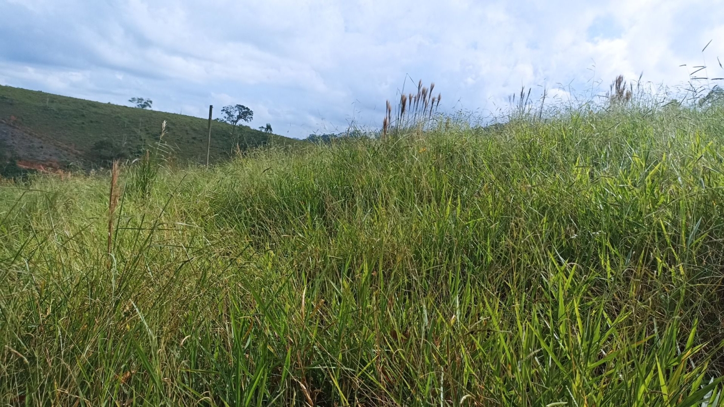 Chácara, 4 quartos, 200 m² - Foto 4