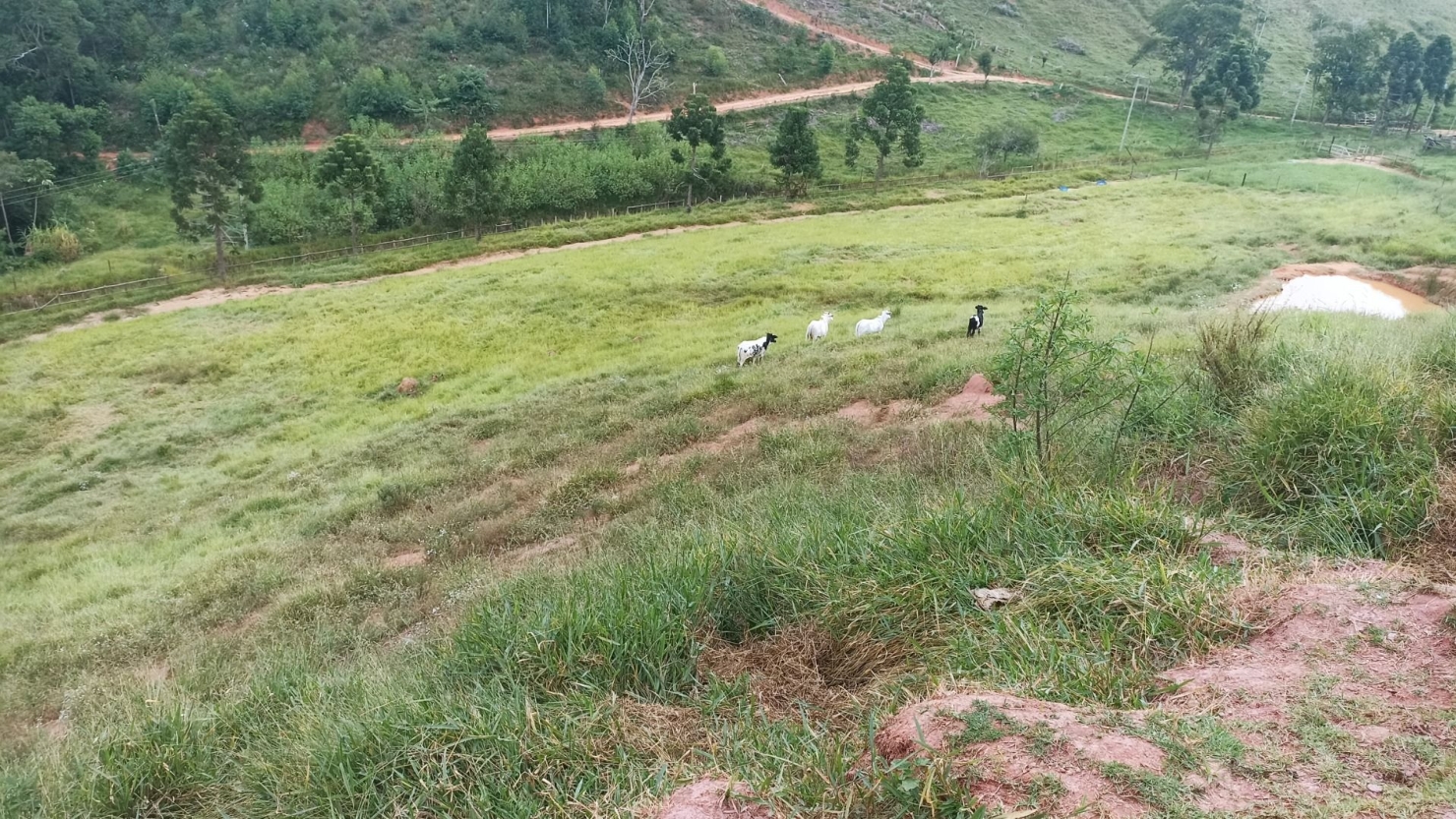 Chácara, 4 quartos, 200 m² - Foto 9