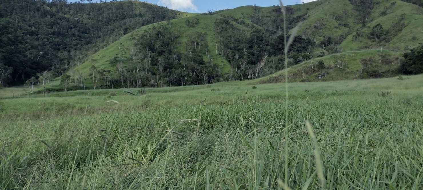 Fazenda-Sítio-Chácara, 73 hectares - Foto 16