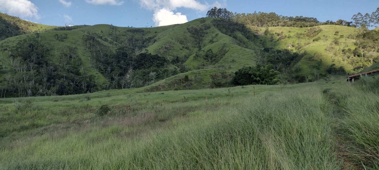 Fazenda-Sítio-Chácara, 73 hectares - Foto 17