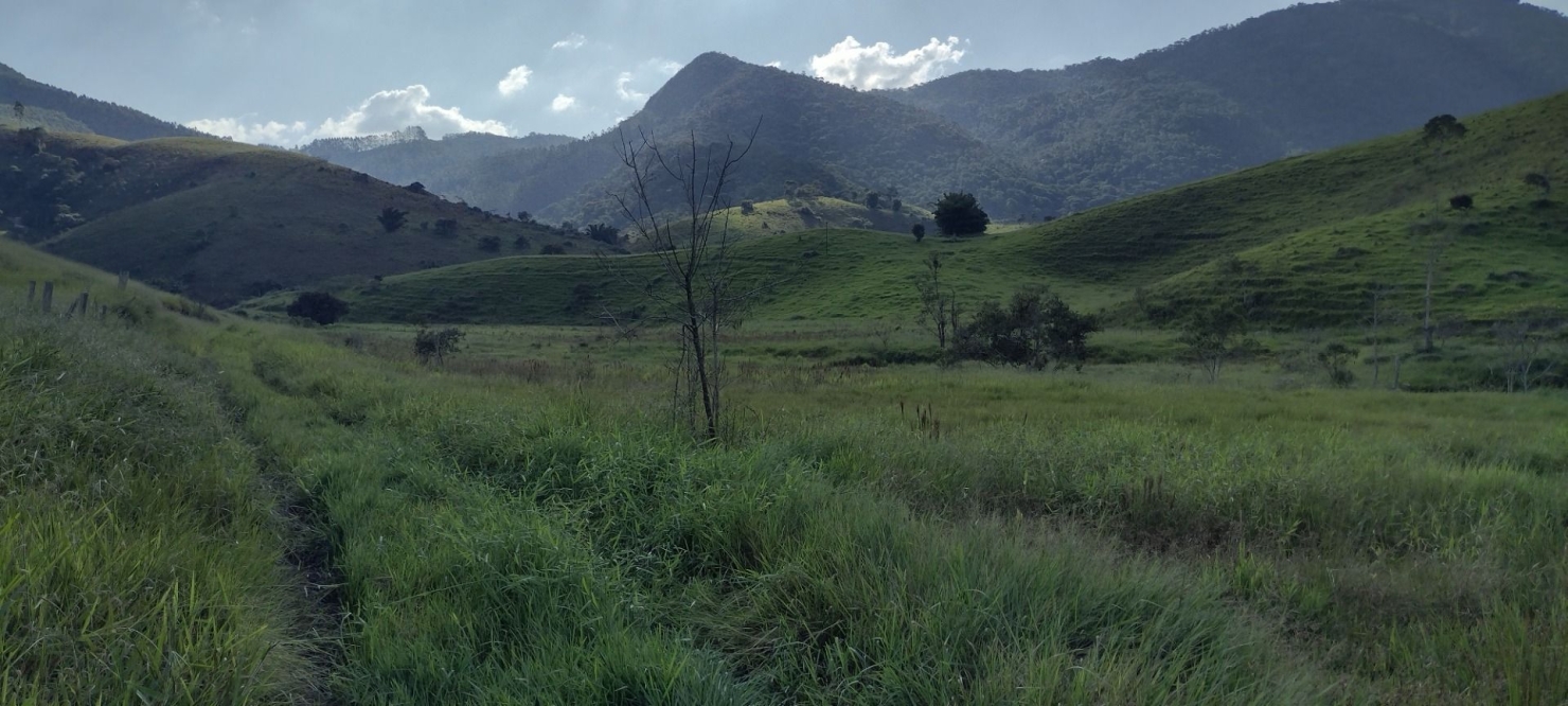 Fazenda-Sítio-Chácara, 73 hectares - Foto 19