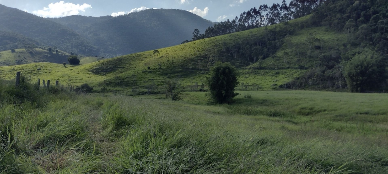 Fazenda-Sítio-Chácara, 73 hectares - Foto 20