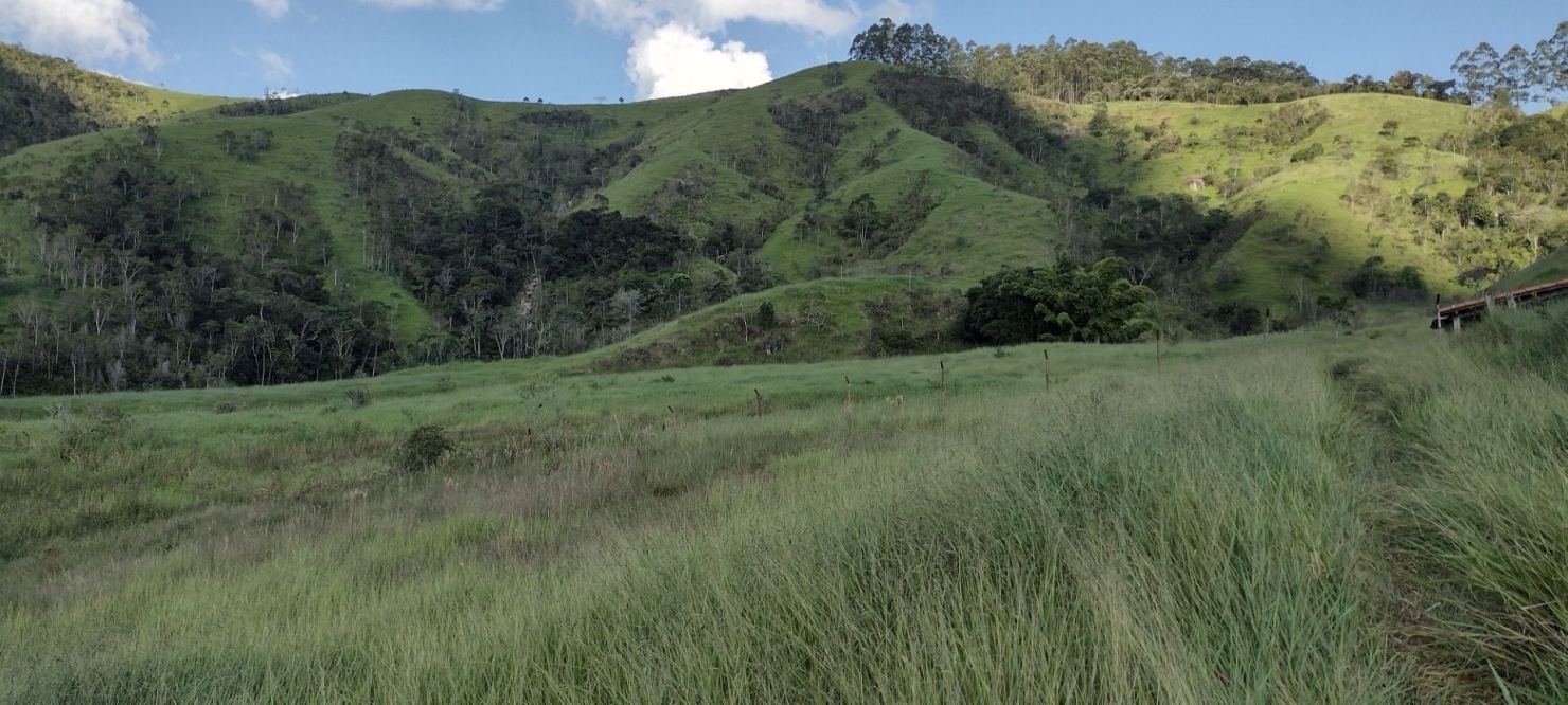 Fazenda-Sítio-Chácara, 73 hectares - Foto 21