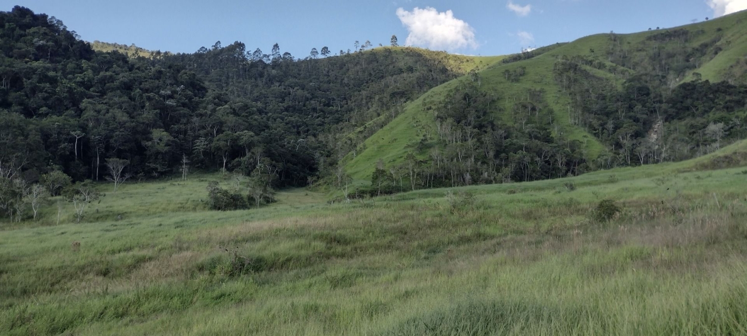 Fazenda-Sítio-Chácara, 73 hectares - Foto 22