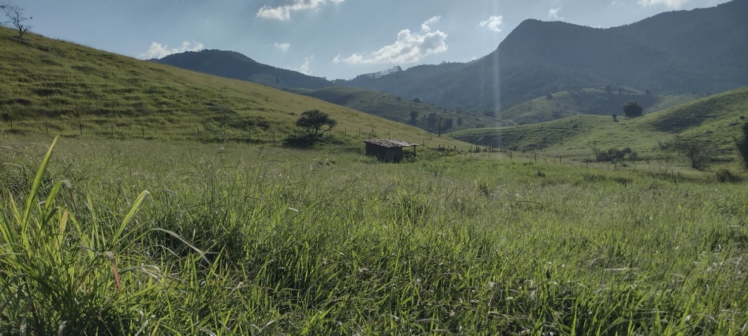 Fazenda-Sítio-Chácara, 73 hectares - Foto 23