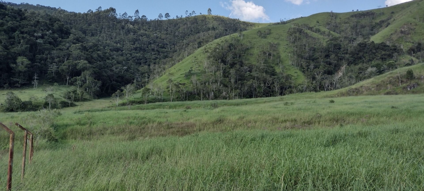 Fazenda-Sítio-Chácara, 73 hectares - Foto 24