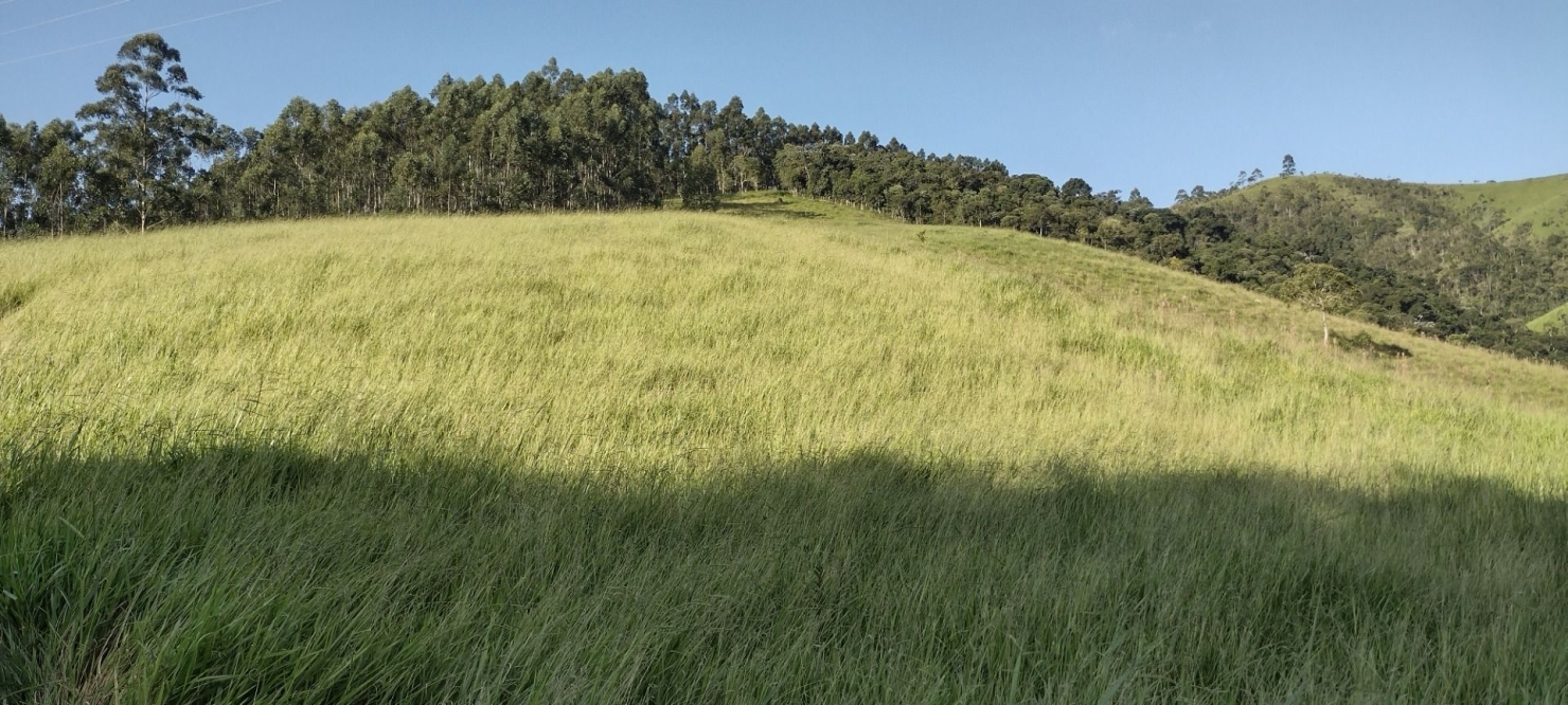 Fazenda-Sítio-Chácara, 73 hectares - Foto 25
