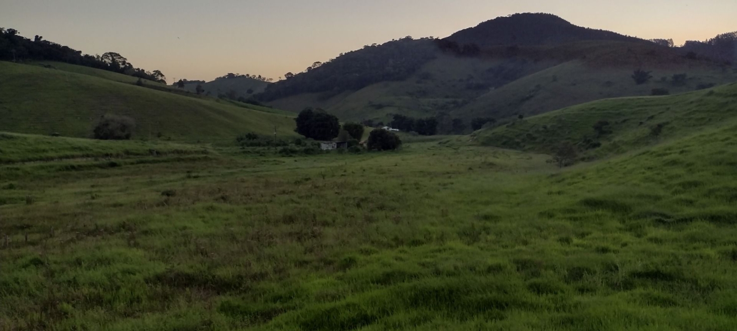 Fazenda-Sítio-Chácara, 73 hectares - Foto 28