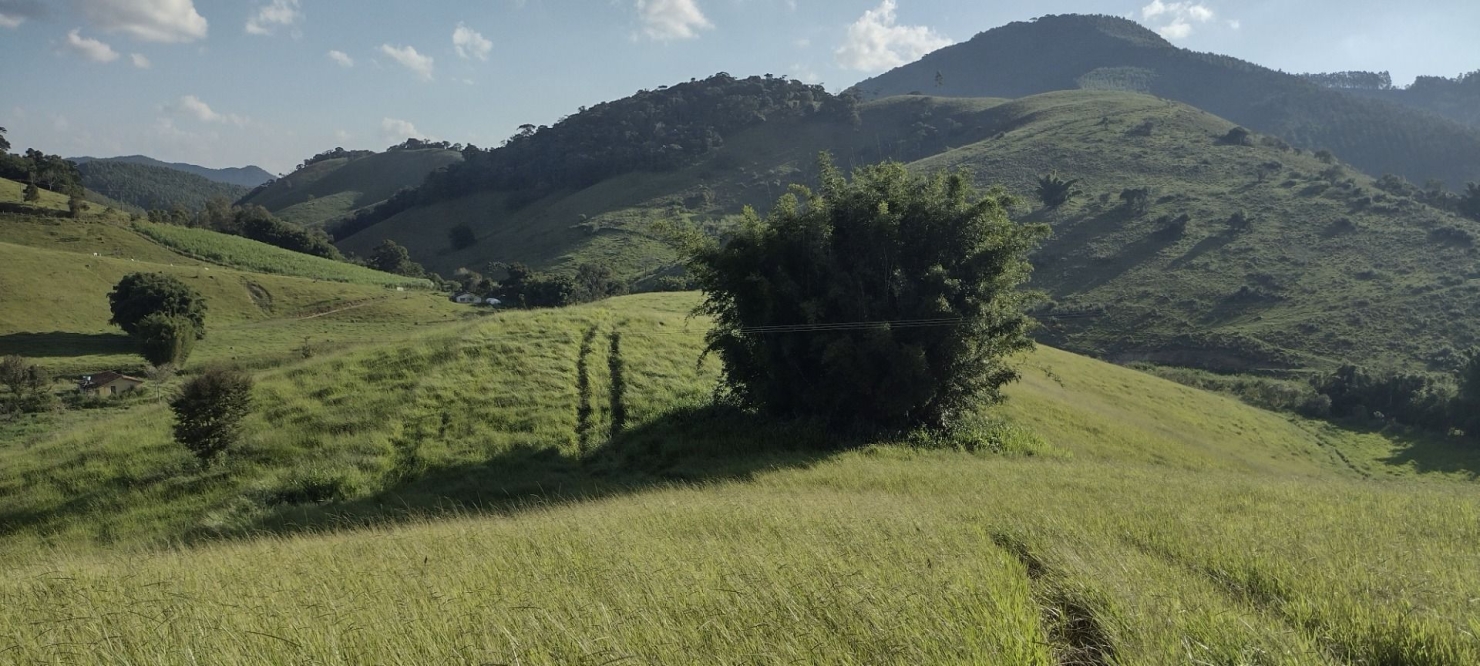 Fazenda-Sítio-Chácara, 73 hectares - Foto 26