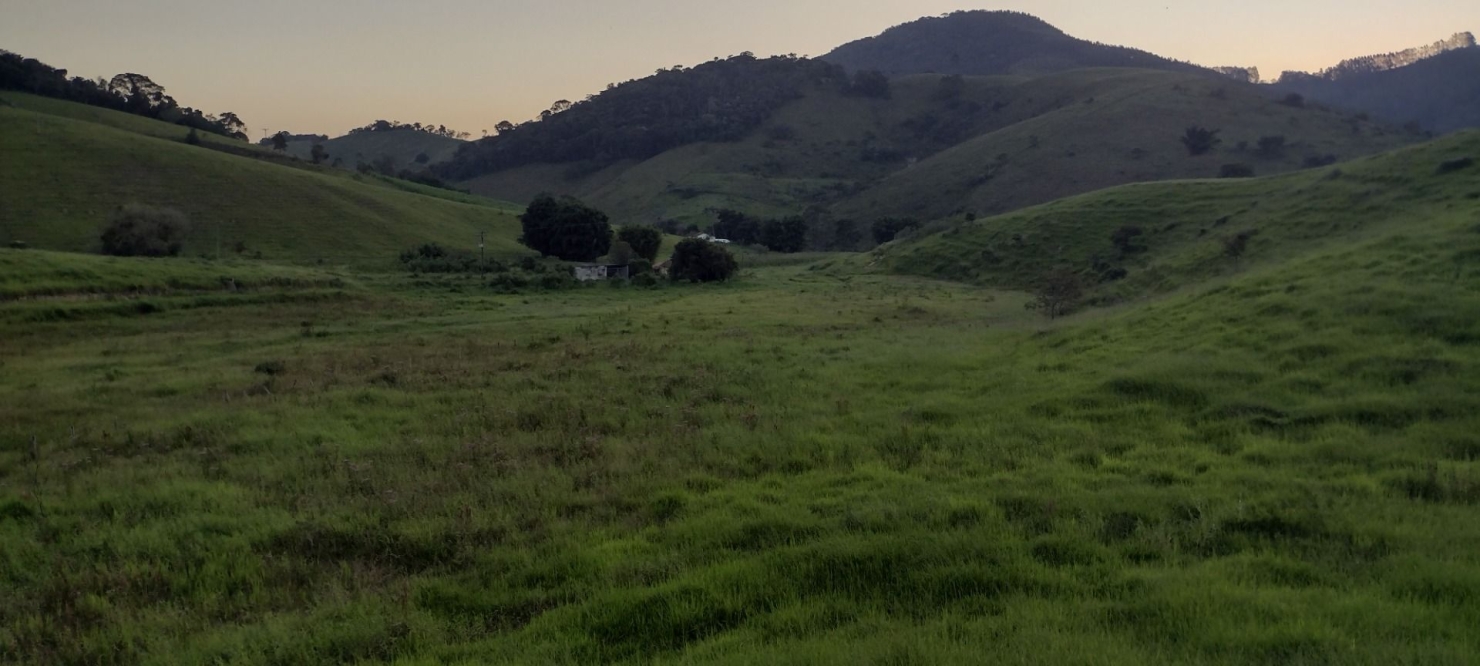 Fazenda-Sítio-Chácara, 73 hectares - Foto 27