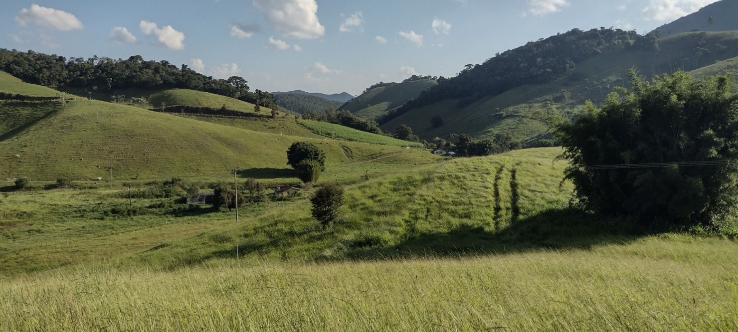 Fazenda-Sítio-Chácara, 73 hectares - Foto 4