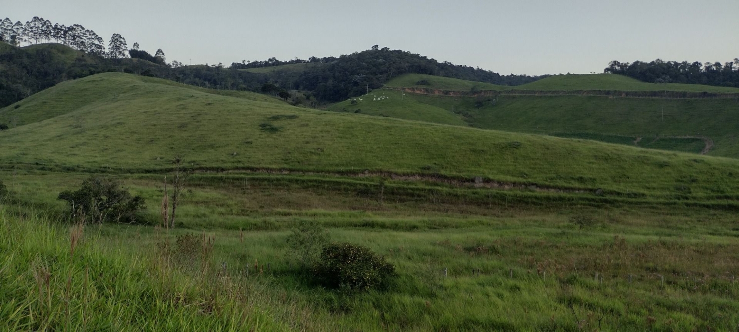 Fazenda-Sítio-Chácara, 73 hectares - Foto 3
