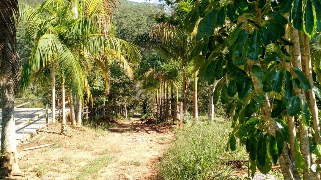 Fazenda em Paraibuna/São Paulo — Ref 8UDWCJ — Imagem 12